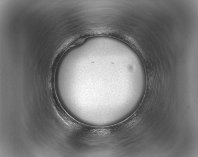 X0000064050443200602171715