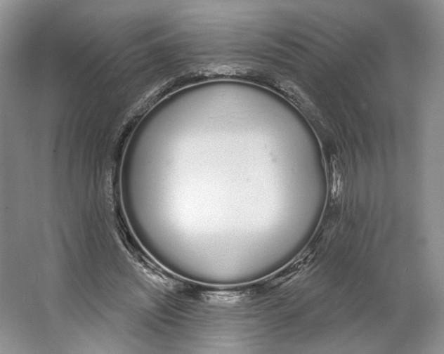 X0000064050444200602171715