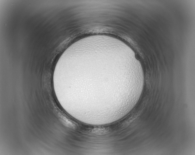 X0000064050445200602171715