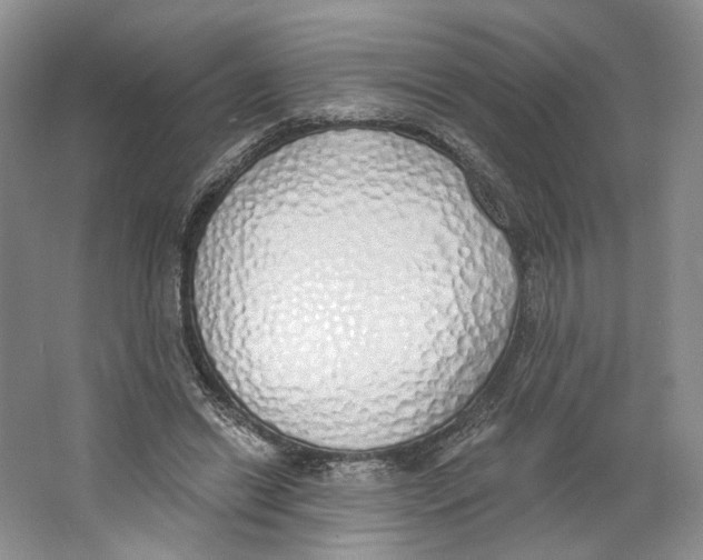 X0000064050446200602171715