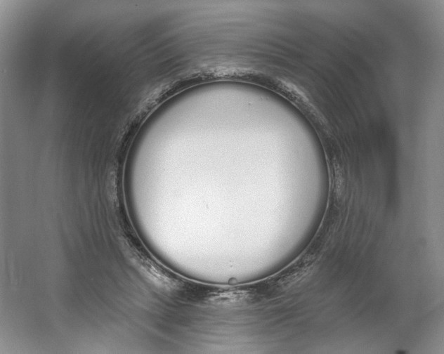 X0000064050447200602171715
