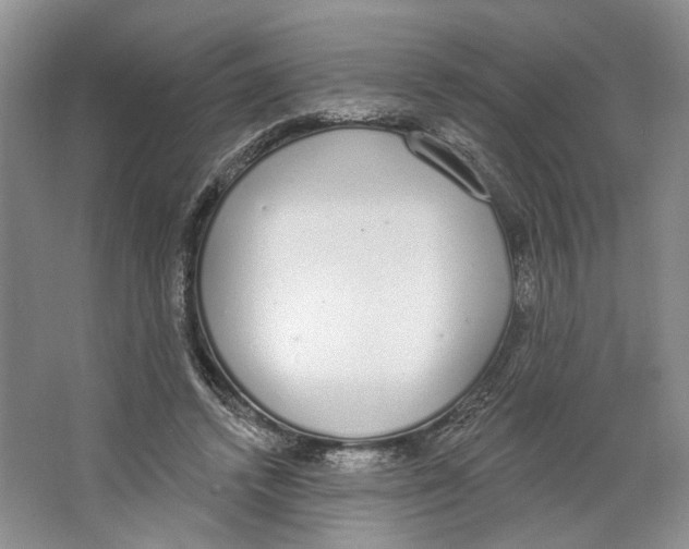 X0000064050448200602171715