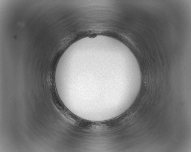 X0000064050455200602171715