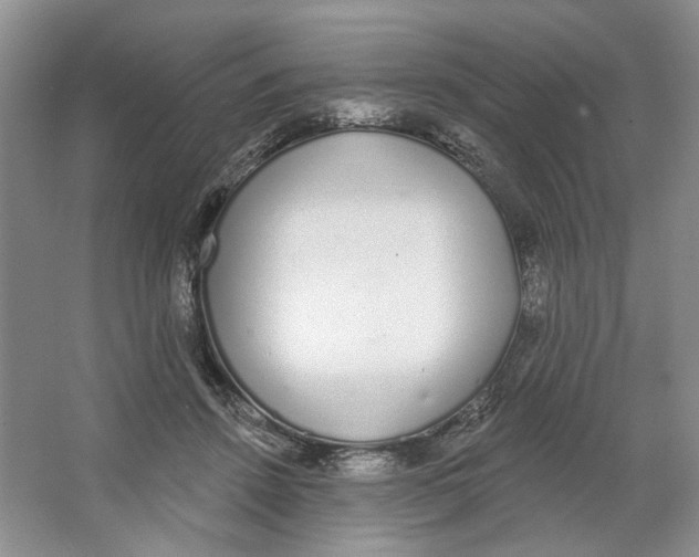 X0000064050456200602171715