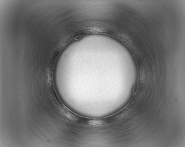 X0000064050457200602171715