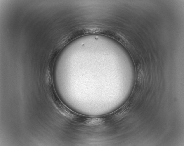 X0000064050459200602171715