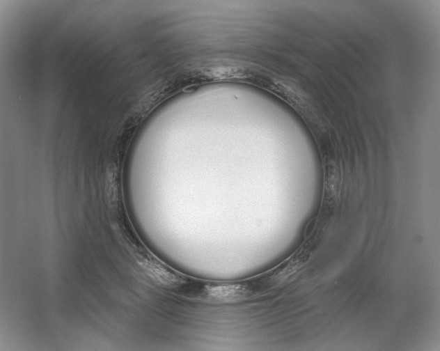 X0000064050461200602171715