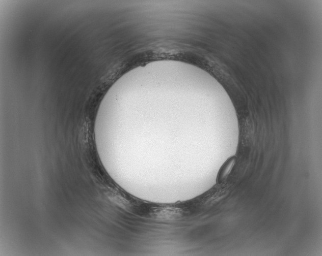 X0000064050463200602171715