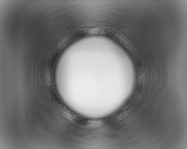 X0000064050469200602171715