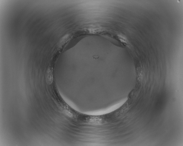 X0000064050471200602171715