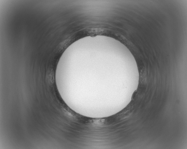 X0000064050474200602171715