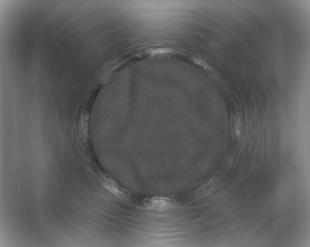 X0000064050475200602171715