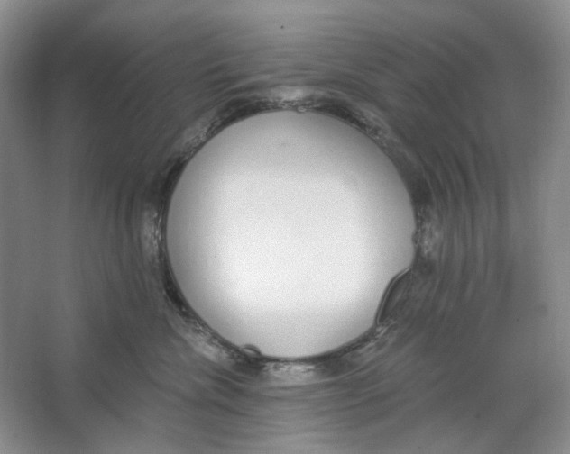 X0000064050476200602171715