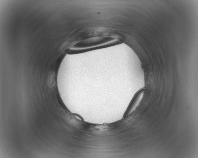 X0000064050478200602171715