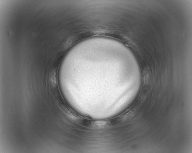X0000064050479200602171715