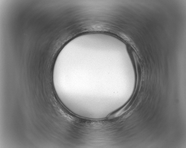X0000064050481200602171714