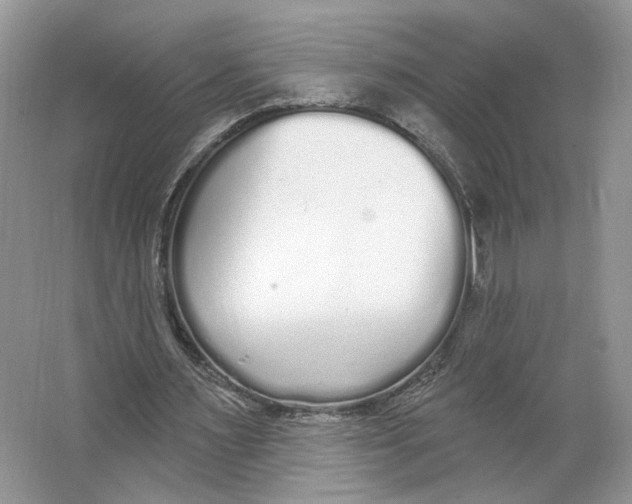 X0000064050483200602171714