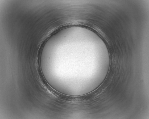 X0000064050485200602171714
