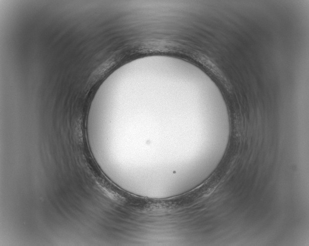 X0000064050489200602171714