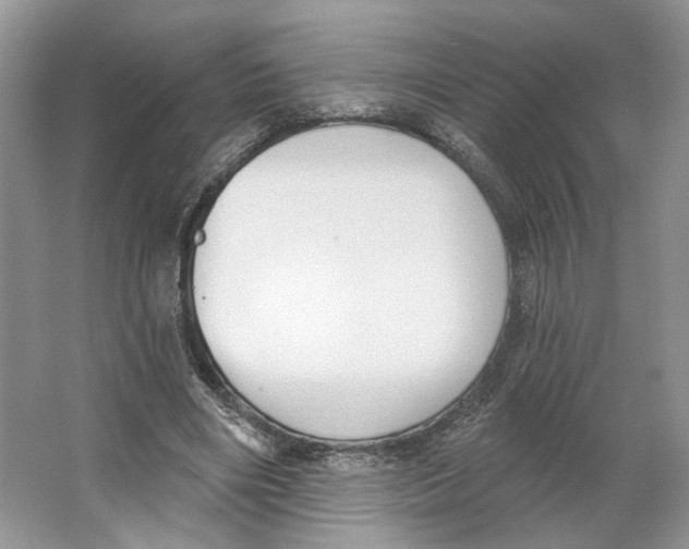 X0000064050490200602171714