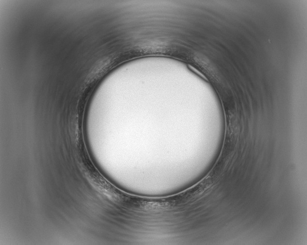 X0000064050494200602171714
