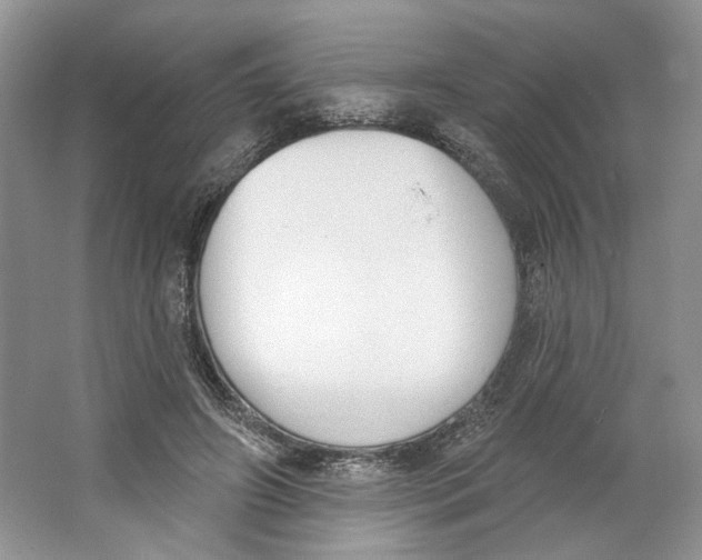 X0000064050498200602171714