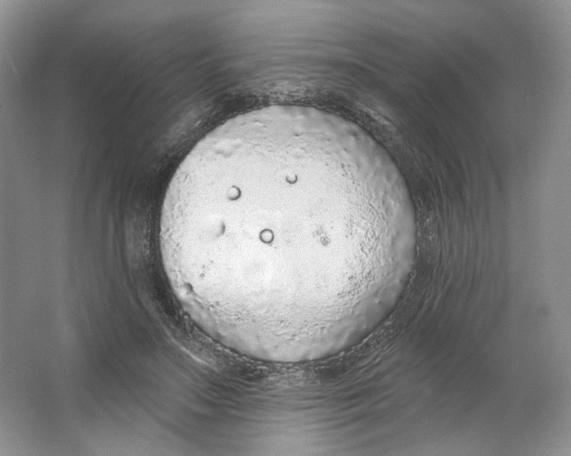 X0000064050499200602171714