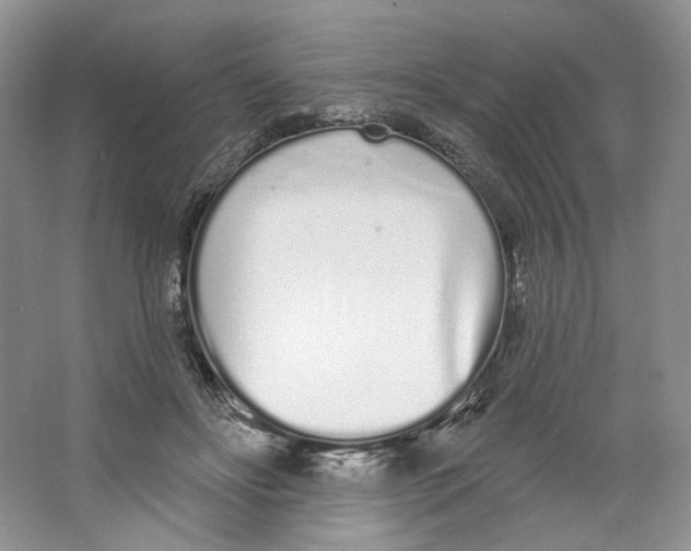 X0000064050502200602171714