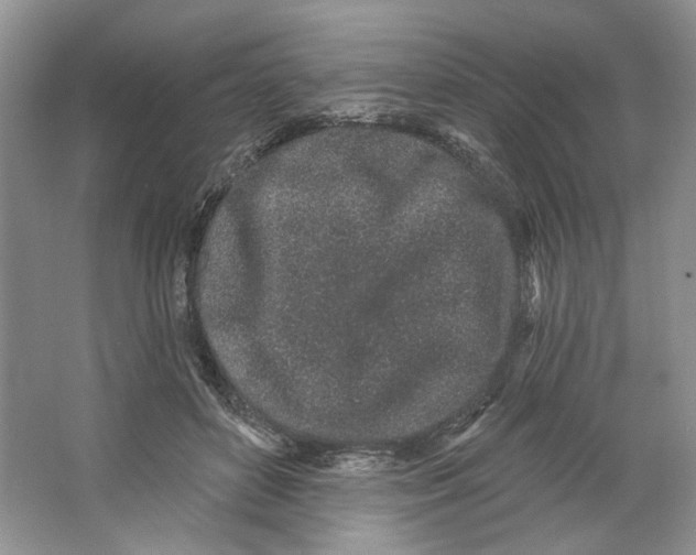 X0000064050504200602171714