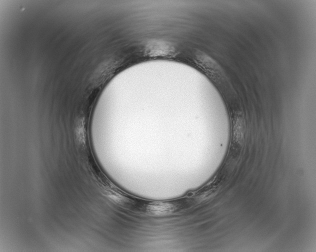 X0000064050510200602171714
