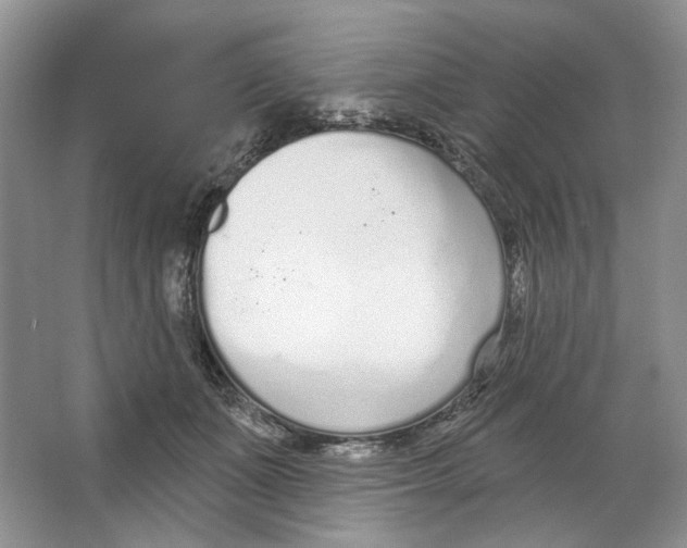 X0000064050511200602171714