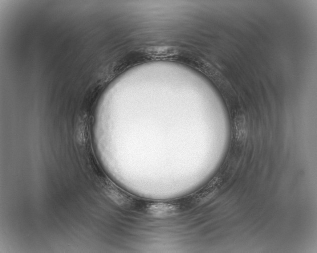 X0000064050515200602171714