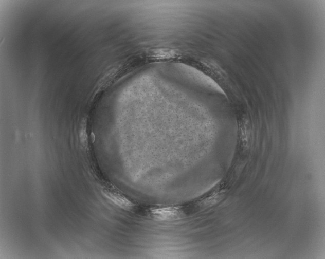 X0000064050516200602171714