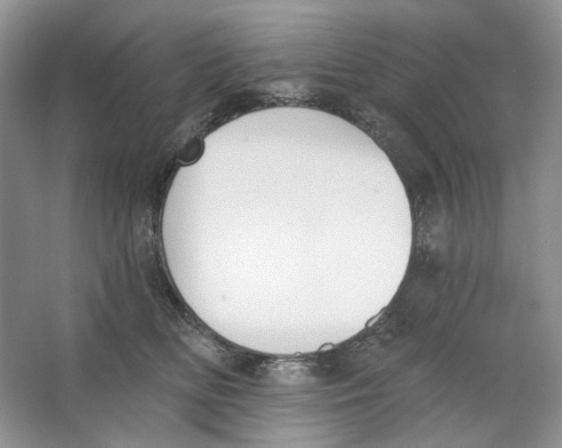 X0000064050518200602171714