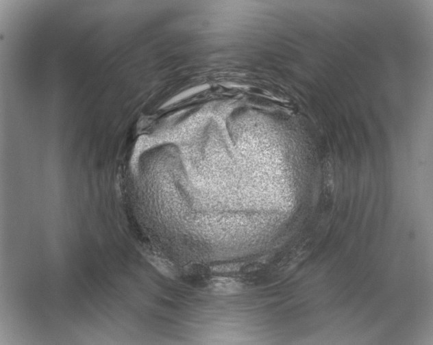 X0000064050519200602171714