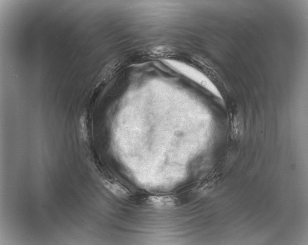 X0000064050520200602171714