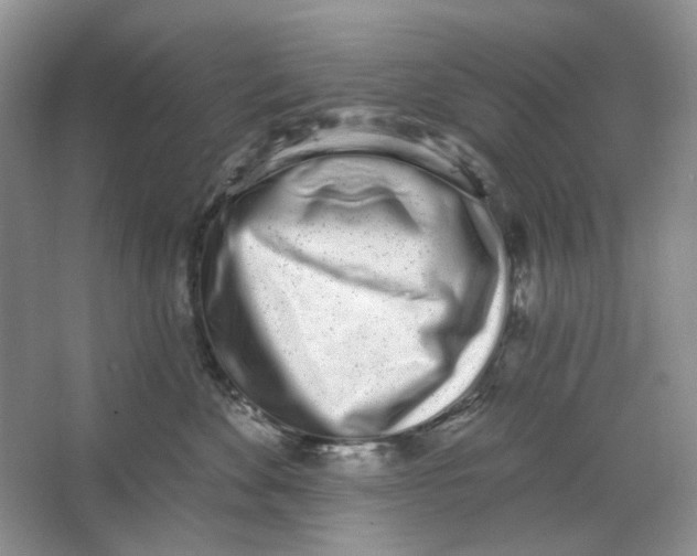 X0000064050524200602171714