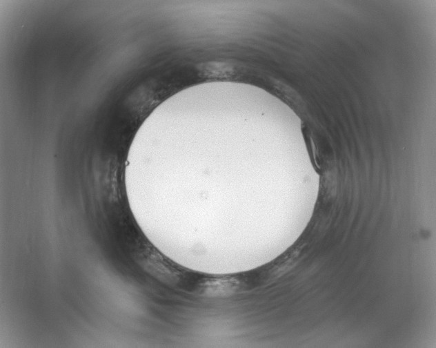 X0000064050525200602171714