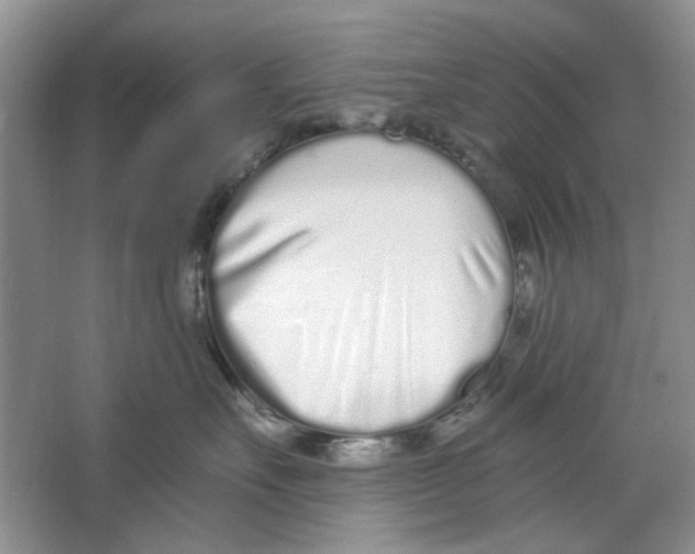 X0000064050527200602171714