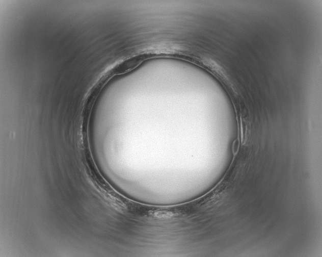 X0000064050531200602171713