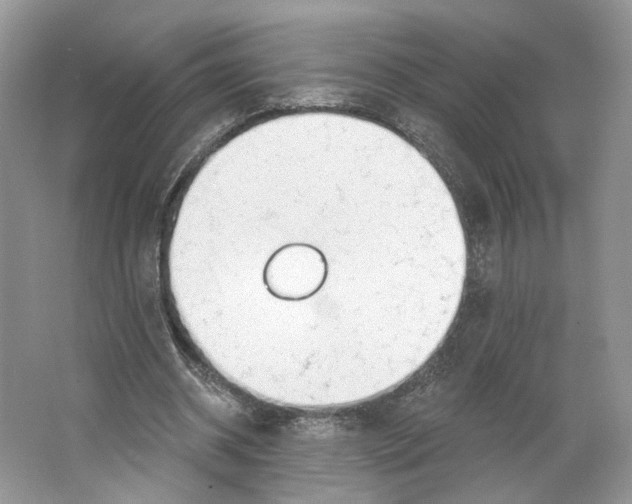X0000064050534200602171713
