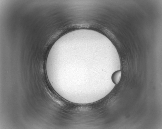 X0000064050537200602171713