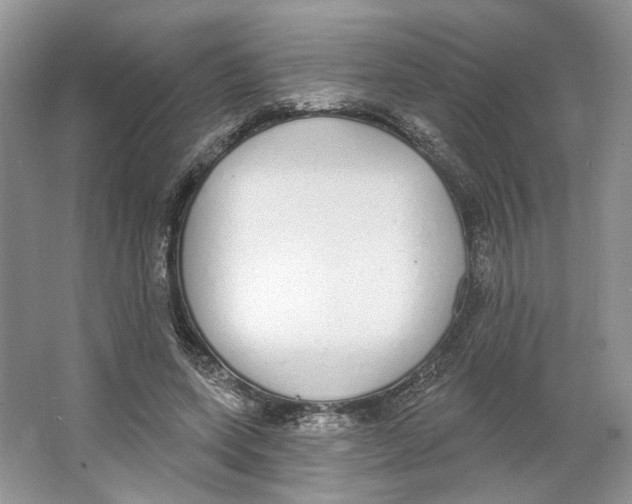 X0000064050543200602171713