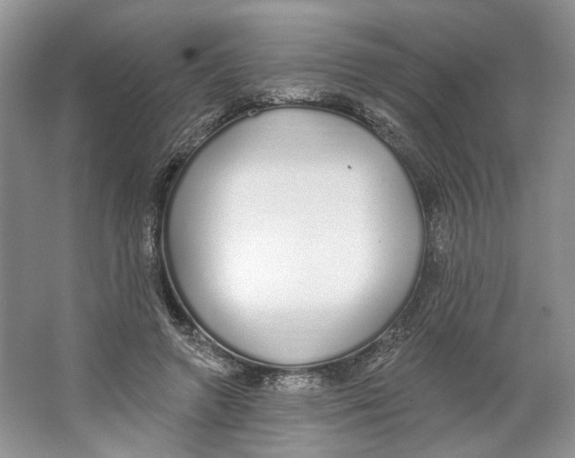 X0000064050546200602171713