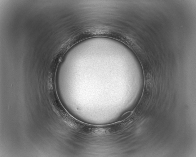 X0000064050547200602171713