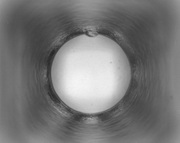 X0000064050548200602171713