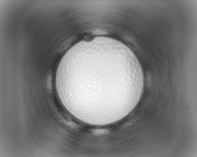X0000064050549200602171713