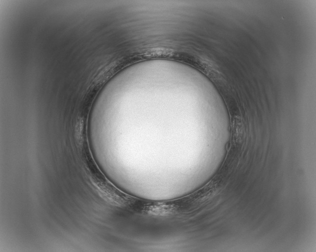 X0000064050550200602171713