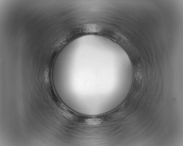 X0000064050556200602171713