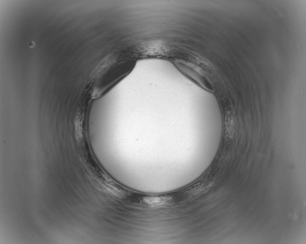 X0000064050558200602171713
